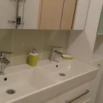 Penthouse Znjan Appartement
